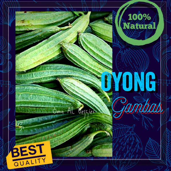 

OYONG / GAMBAS Per 500 gram SAYURAN SEGAR