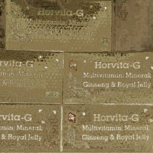 HORVITA G (Multivitamin & Ginseng)