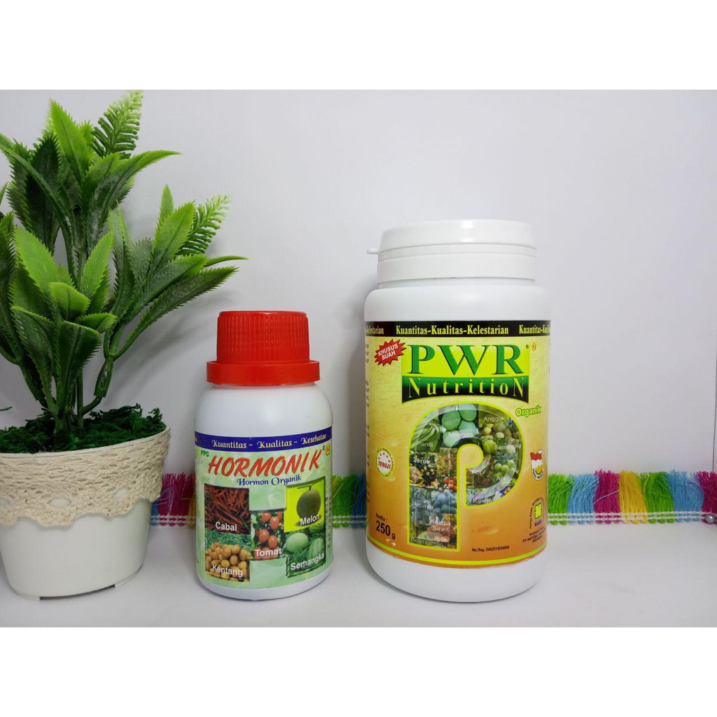 PUPUK BUAH DAN BUNGA