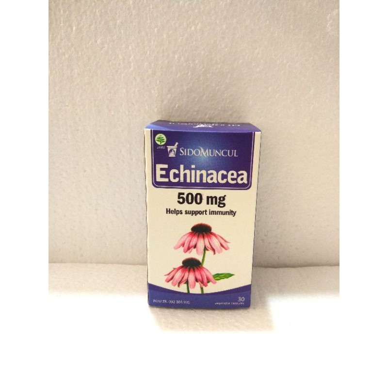 echinacea sidomuncul