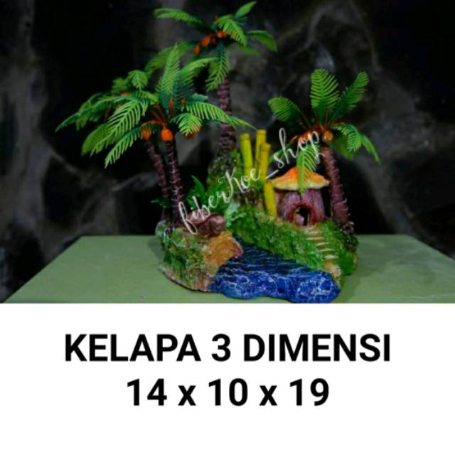 

Kelapa 3 Dimensi