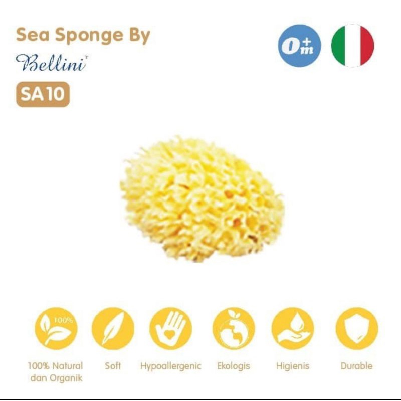 Lea Sponge Bellini SA10