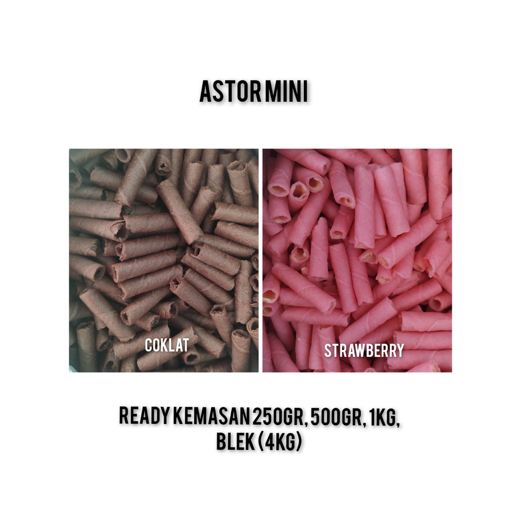 

Astor Mini Rasa