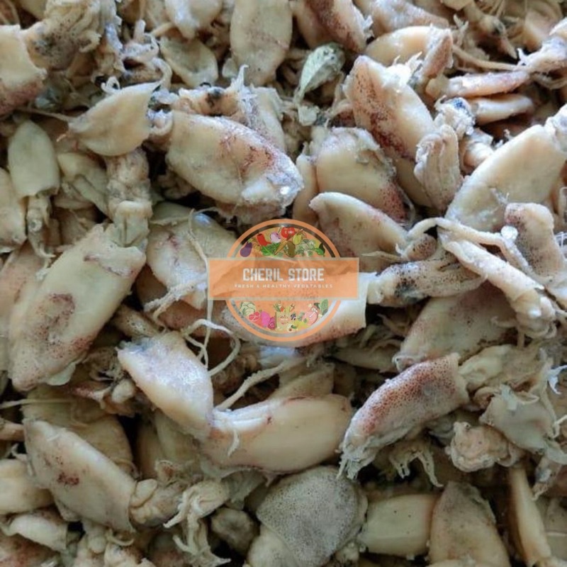 BABY CUMI CUMI KERING ASIN 1 KG 2-4cm FRESH