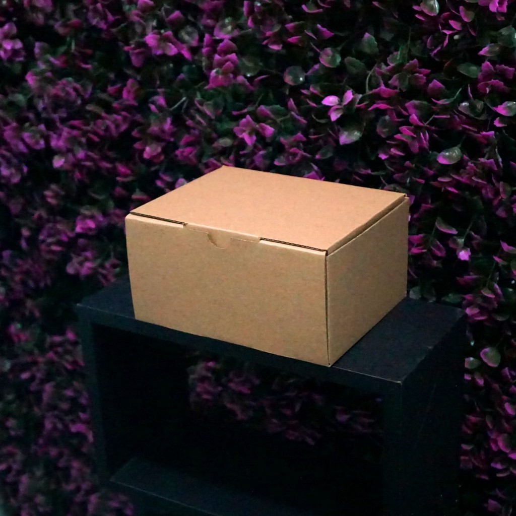 

(Bekasi) Kotak Packaging Polos Tinggi 12 x 16 x 8 cm - Pizza Box - Persegi Panjang