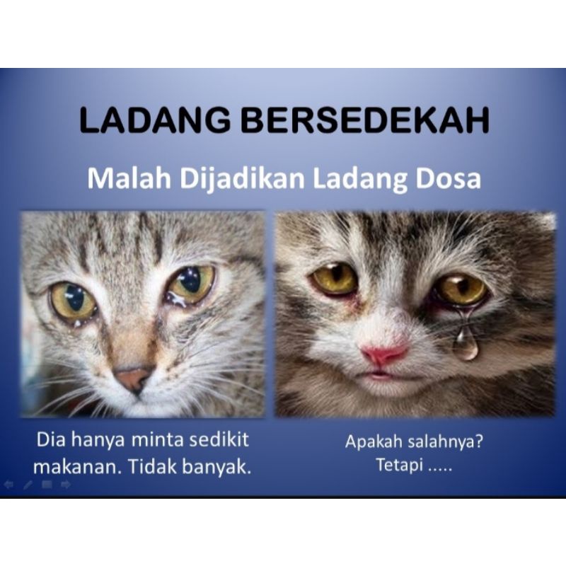 

sedeka untuk makan kucing mohon bantuannya kak / bg mohon bantuannya kak