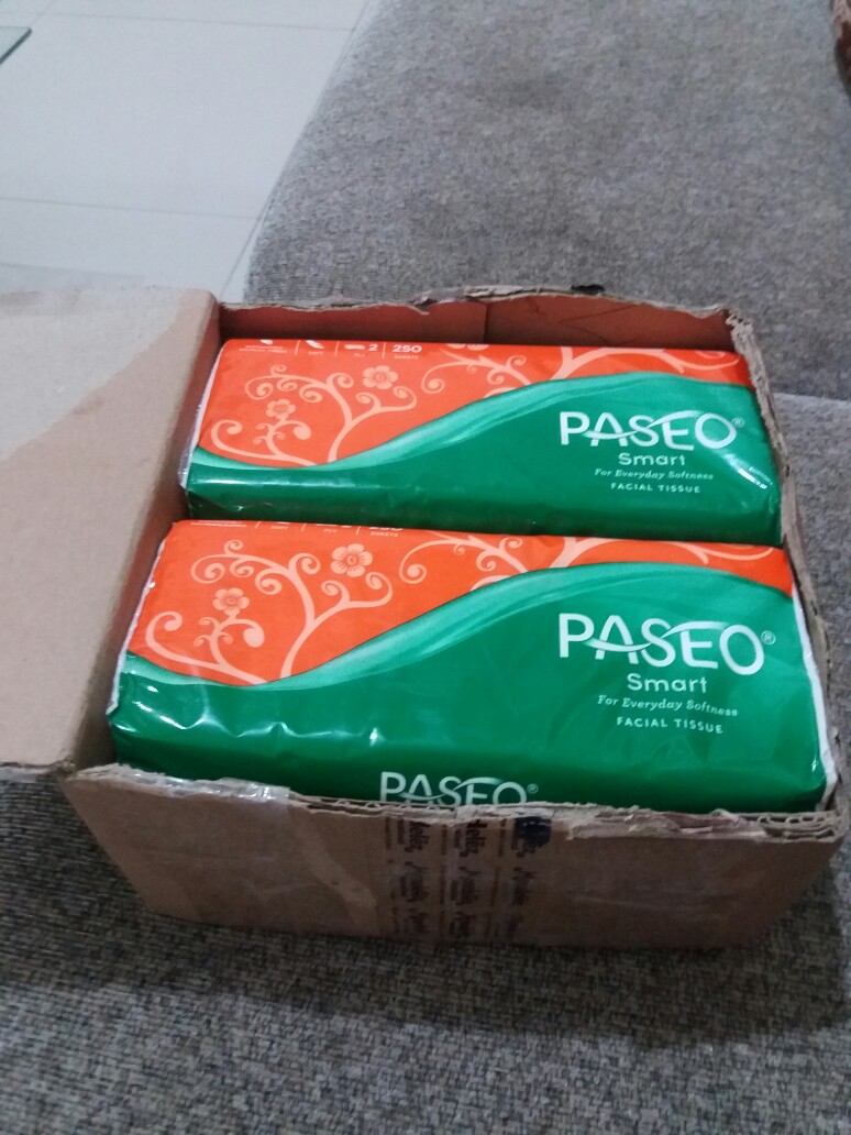 Paseo Smart 250 Sheets 2fly