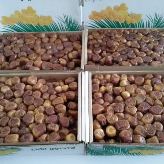 

KURMA SUKARI [per DUS]