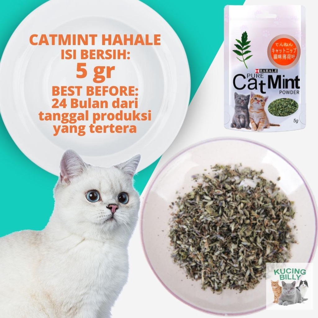 Cat mint powder Hahale