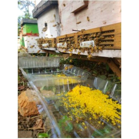 

[PROMO] Madu sarang murni asli netto 100 gram