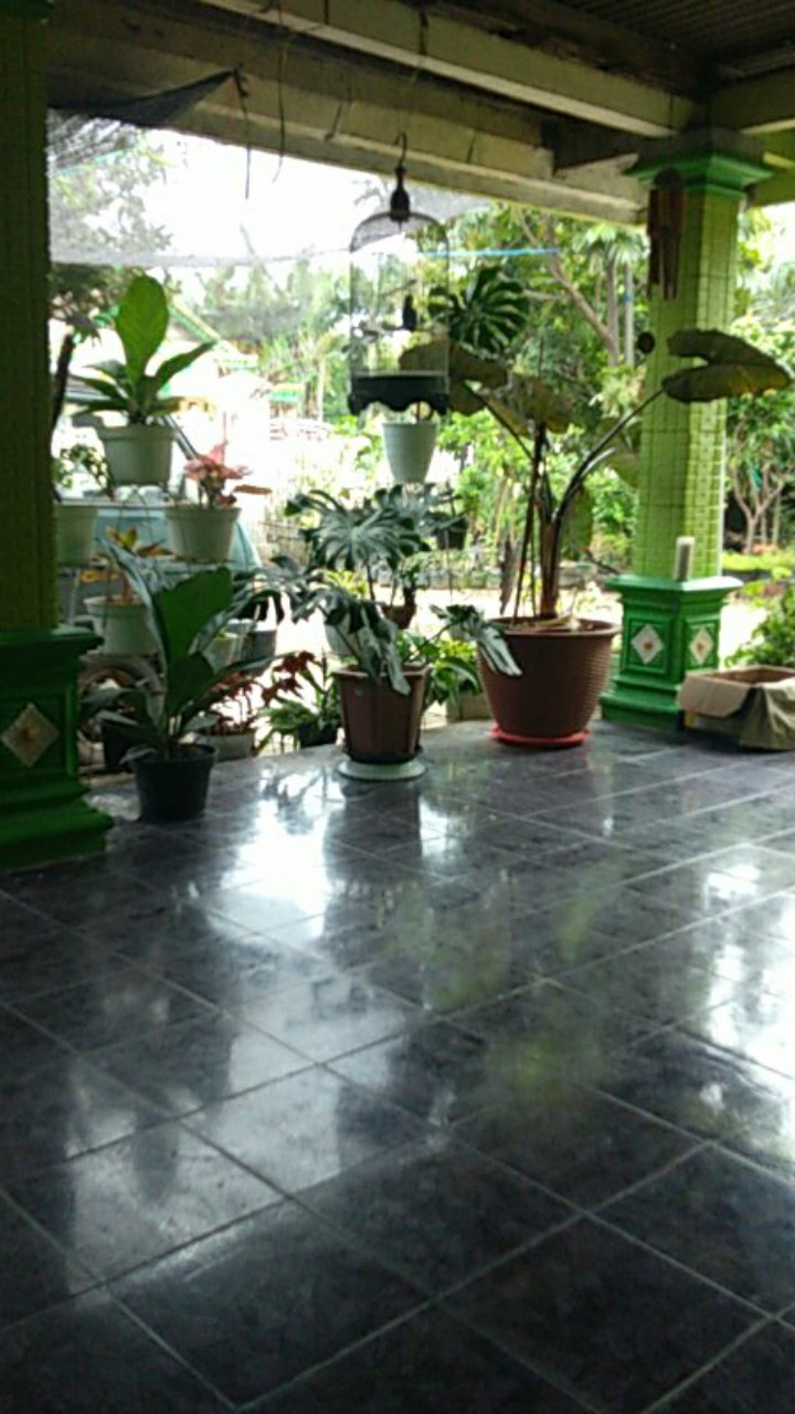 Botol Minum Herbalife Ironman Jumbo 2000ml (1kg Isi 3)