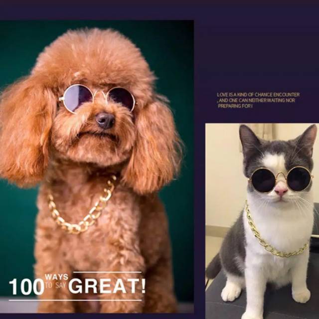 Kacamata anjing kucing aksesoris hewan cat dog sun glasses