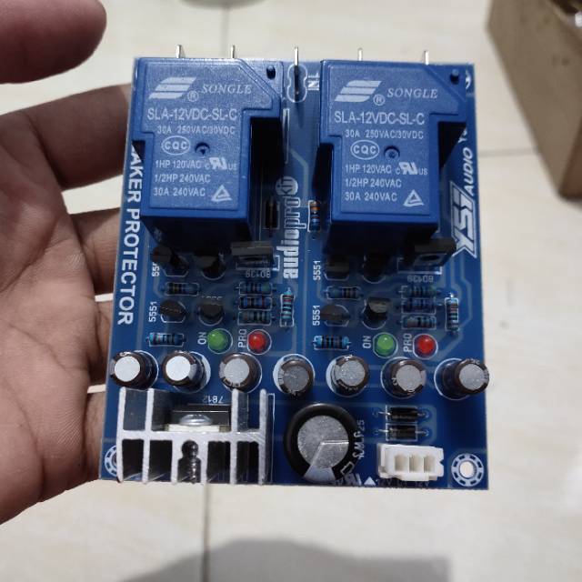 speaker protector stereo