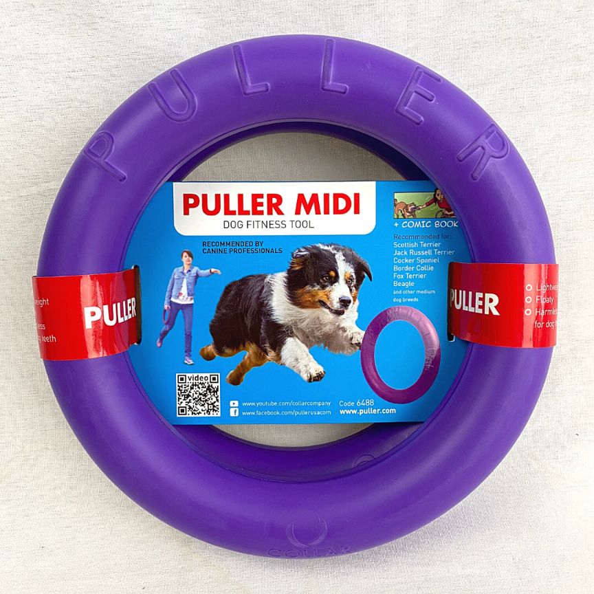 

PULLERMIDI Mainan Anjing Dog Training Device 20cm
