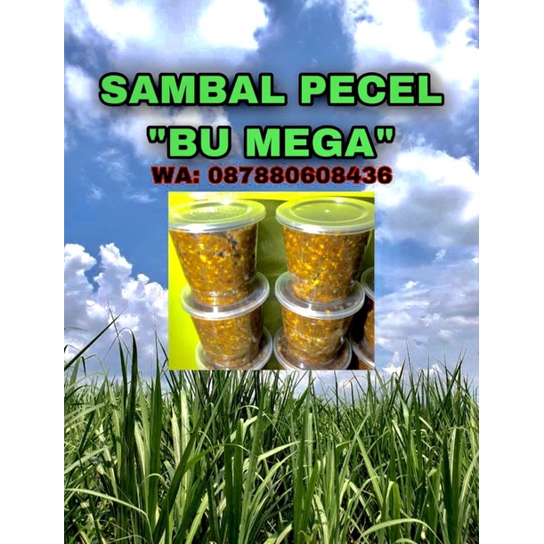 

SAMBAL PECEL RUMAHAN