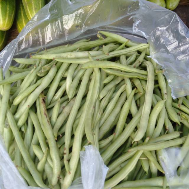 

Buncis baby 1000 gram(1kg) segar habis petik