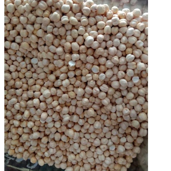 

『PENJUALAN KEREN』 Kacang arab super 1kg SHOPEE MALL/BISA COD/〖5.5 COD〗/【SHOPEE MALL】/〖✅Star〗