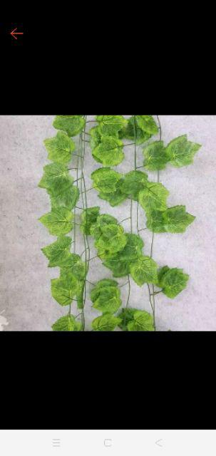Daun Rambat Anggur D7 Perlusin  Home Dekorasi Shabby