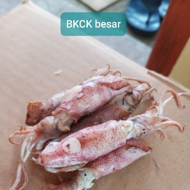 

Cumi asin bkck fresh