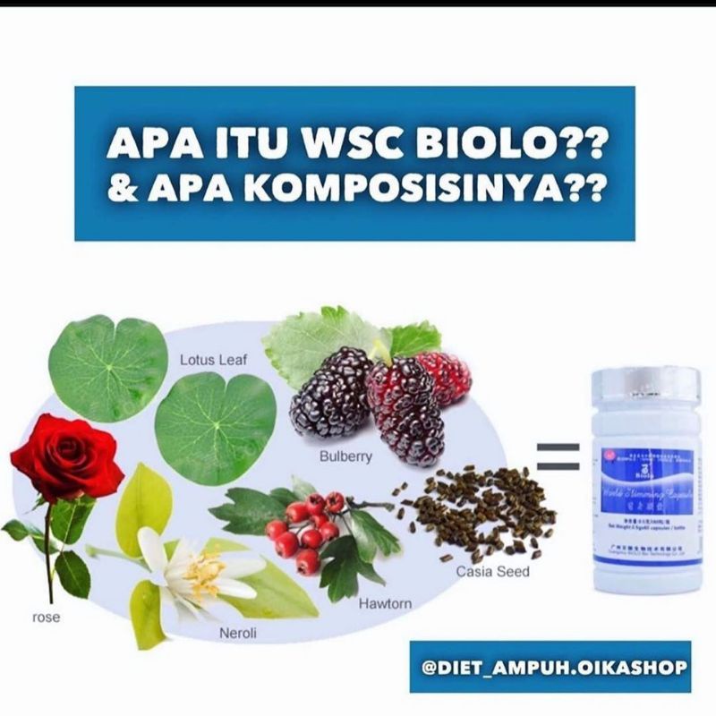 

wsc biolo