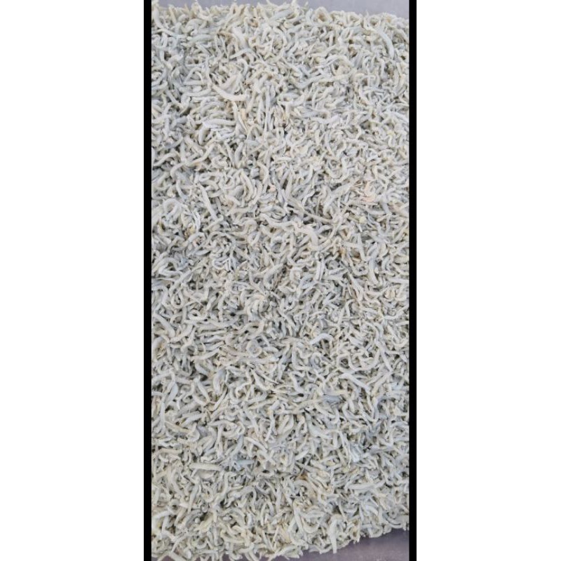

Teri Medan 1kg