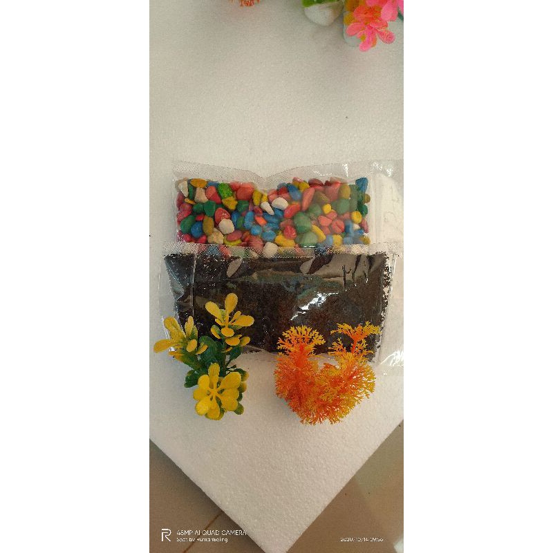 PAKET HEMAT HIASAN AQUARIUM SOLITER CUPANG BATU HIAS PASIR MALANG TANAMAN HIAS