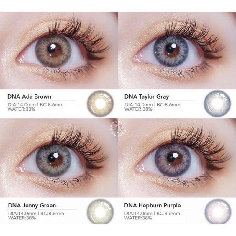 softlens DNA ada hazel brown Taylor Gray Jenny green hepburn purple softlens pusbel bollycon dna original