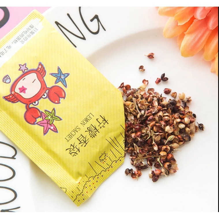 Pengharum Ruangan Sachet Aromaterapi Pewangi Lemari Parfum Tas Mobil Serbaguna