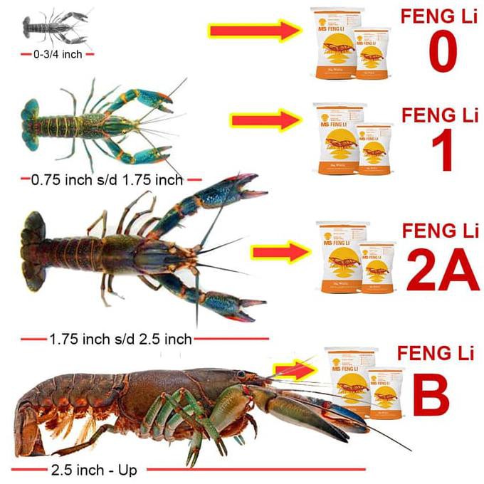 Produk Terlaris Jirifarm Pakan Udang / Lobster Pelet Tenggelam Fengli Fl 2A 500 Gr