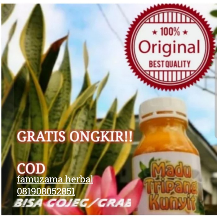 

Madu kunyit teripang - MMD1417