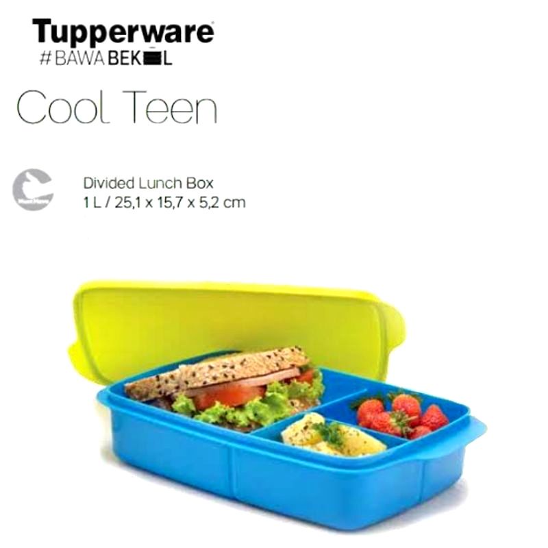 CooL Teen Tupperware Tempat makan Bersekat