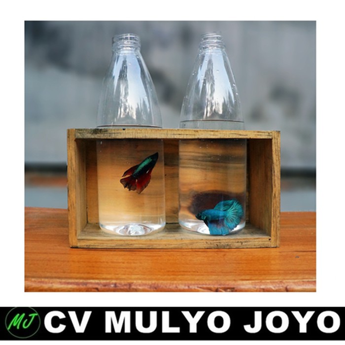 Pot Botol Plastik 02 - Pot Botol Ikan Cupang