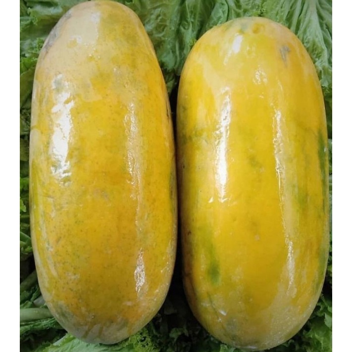 

PEPAYA CALIFONIA 1BUAH/BUAH PEPAYA CALIFORNIA SUPER MANIS FRESH