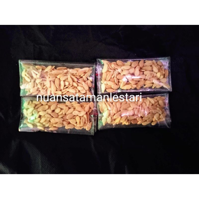 Biji Benih Buah Bligo / 100 butir Buah Kundur / Benih Labuh Bedak