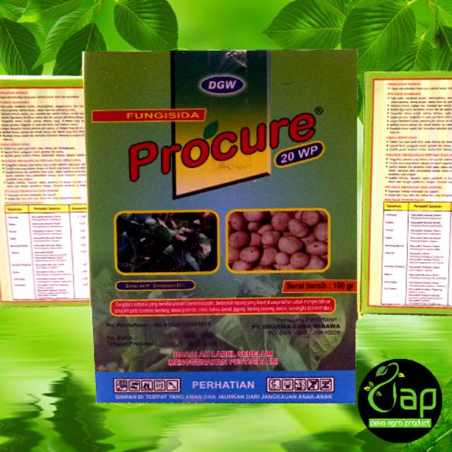 FUNGISIDA PROCURE 20WP 100GR bahan aktif simoksanil