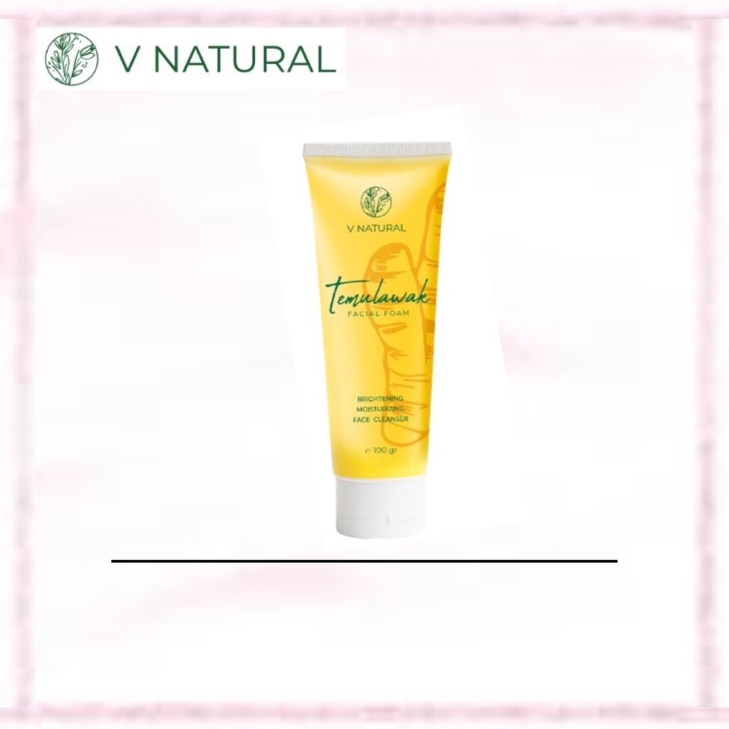 V Natural Paket Auto Kinclong Temulawak Facial Foam / Exfoliating Gel / Day Night Cream (official-100% original)