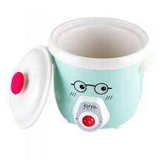 IONA 0.7L SLOW COOKER (MINT GREEN) GLSC07B-G