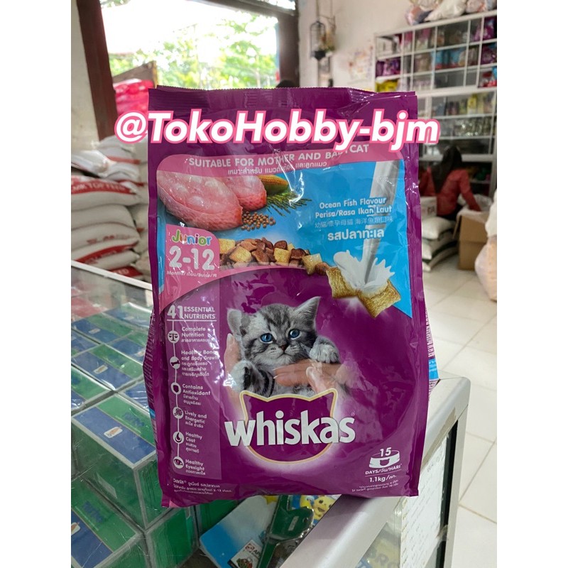 whiskas 1.1kg Junior dry food / whiskas kucing kitten 1.1 kg junior - whiskas 1 kg kitten junior