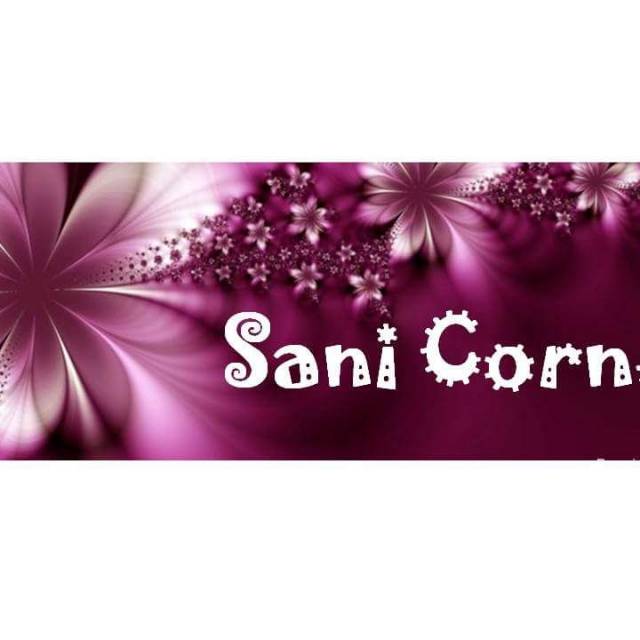 sani.corner