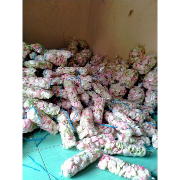 

krupuk goreng pasir rasa bawang mini