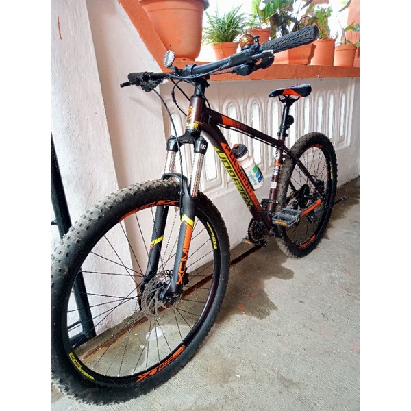 Polygon premier 5 seken mulluss