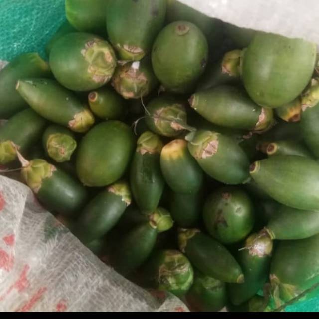 

Buah pinang/ buah jambe 1kg