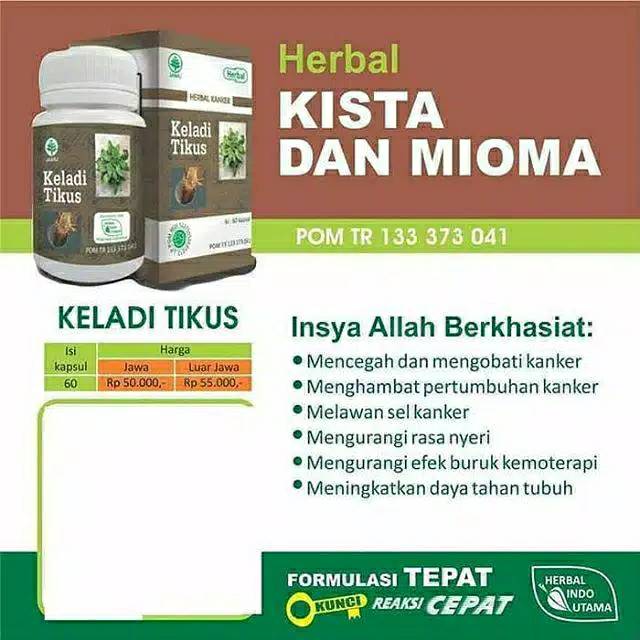 Keladi tikus kapsul | keladi tikus kapsul herbal indo utama | obat kangker Asli 100%