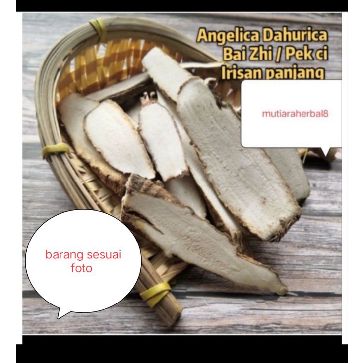 

bai zhi / angelica dahurica / pek ci herbal 500gr