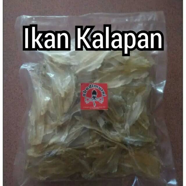 

Ikan Kalapan