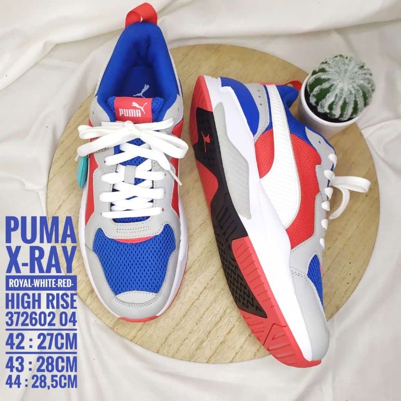 puma x ray cena