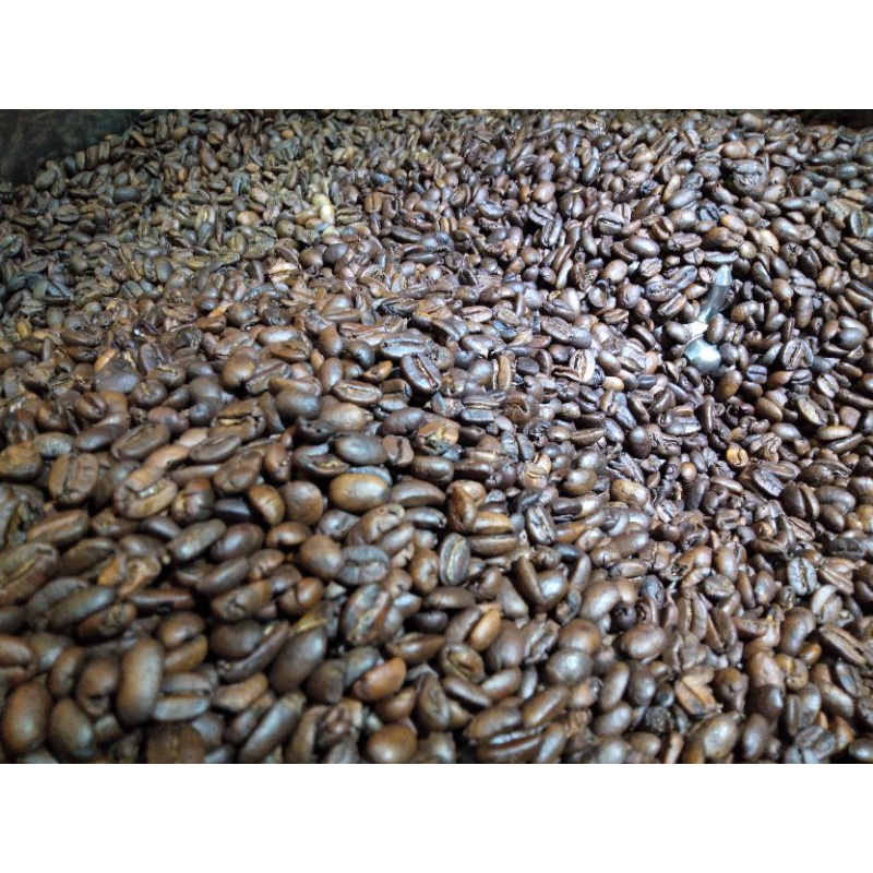 

ROASTBEANS ARABICA GAYO JUNIOR 1 KG | CUBE CO