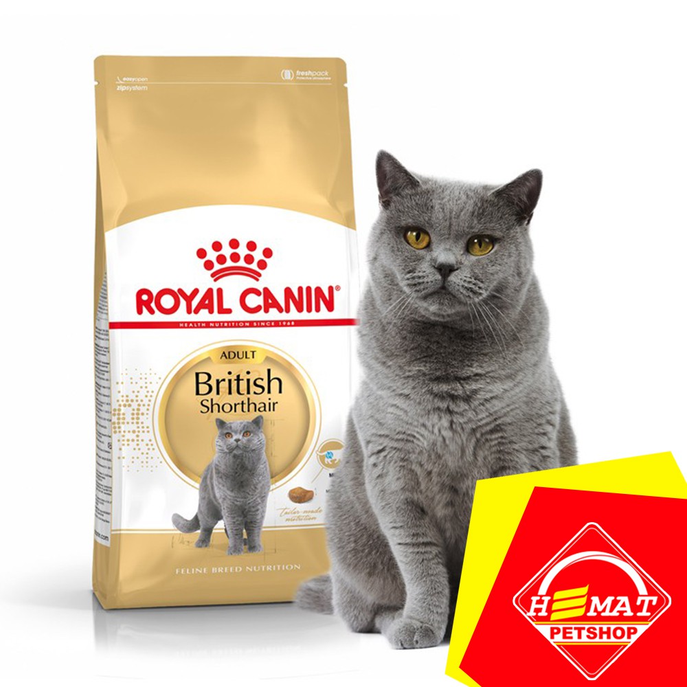 Royal Canin British Shorthair Adult 4Kg / Makanan Kucing Rc Short Hair Dewasa 4 Kg