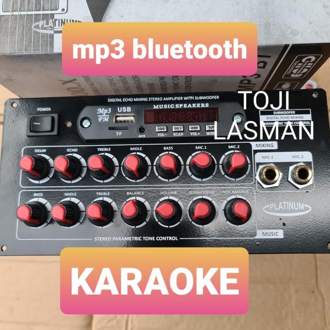 Digital Echo Mixing Stereo Active Speaker Dms-7000.X Mp3 Bluetooth Kit