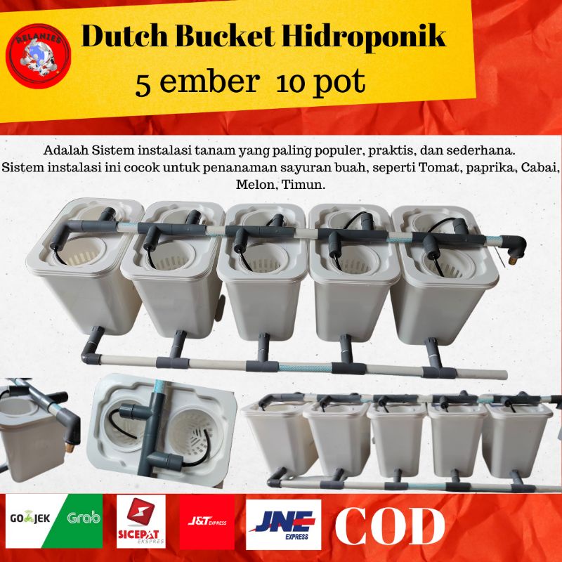 DUTCH BUCKET HIDROPONIK SET 5 EMBER 10 POT HIDROPONIK